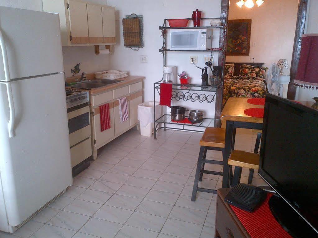 Coconut Palms Inn رينكون المظهر الخارجي الصورة