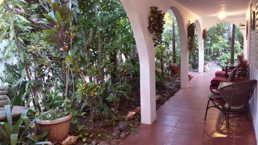 Coconut Palms Inn رينكون المظهر الخارجي الصورة