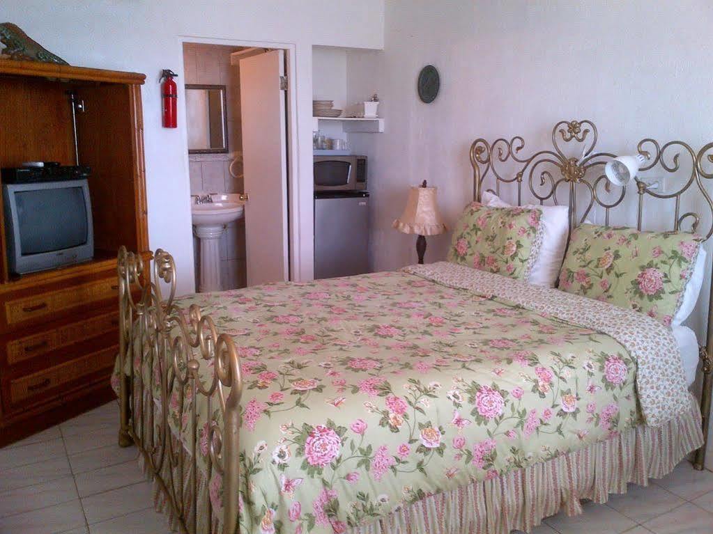 Coconut Palms Inn رينكون المظهر الخارجي الصورة