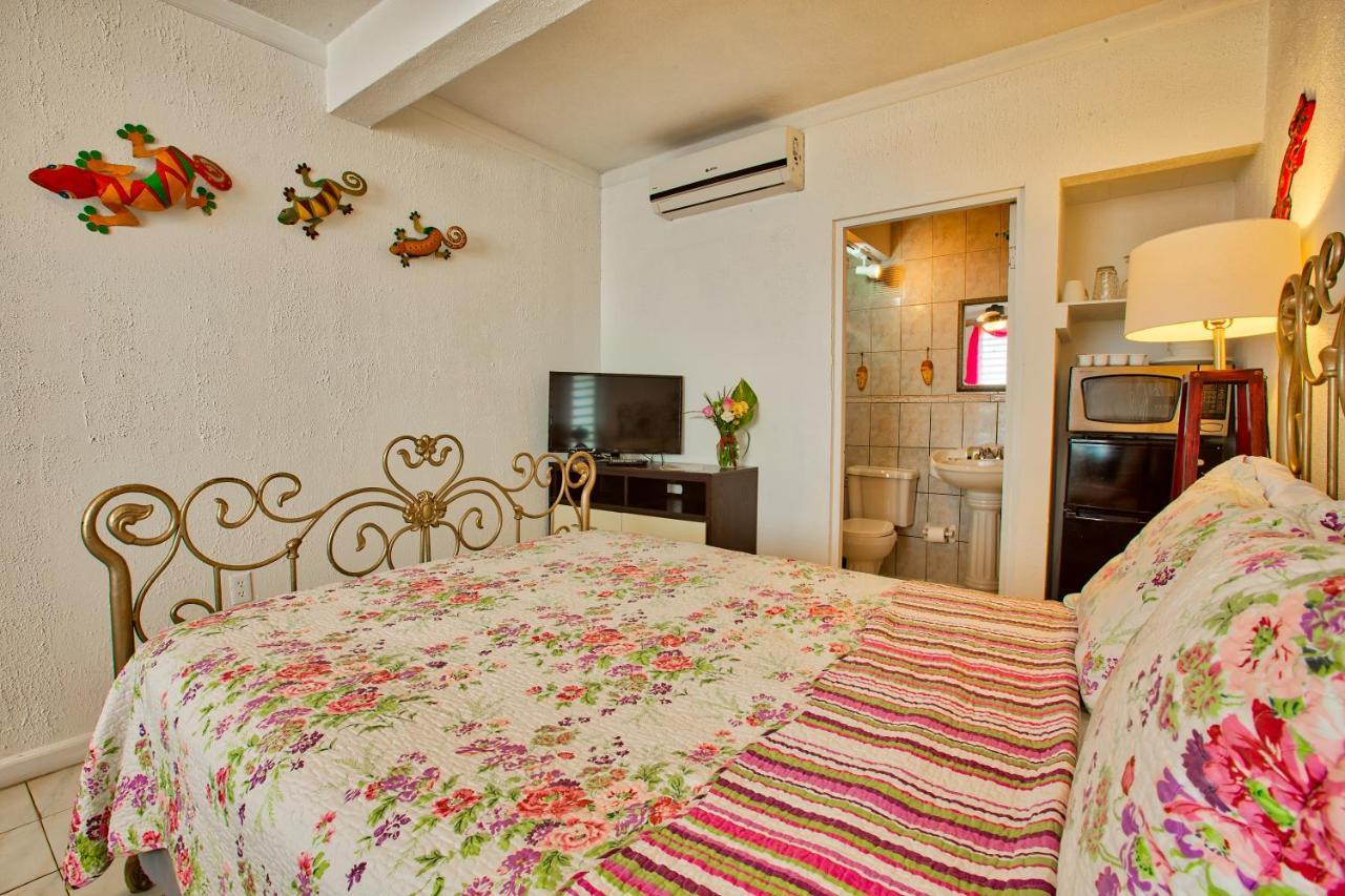 Coconut Palms Inn رينكون المظهر الخارجي الصورة